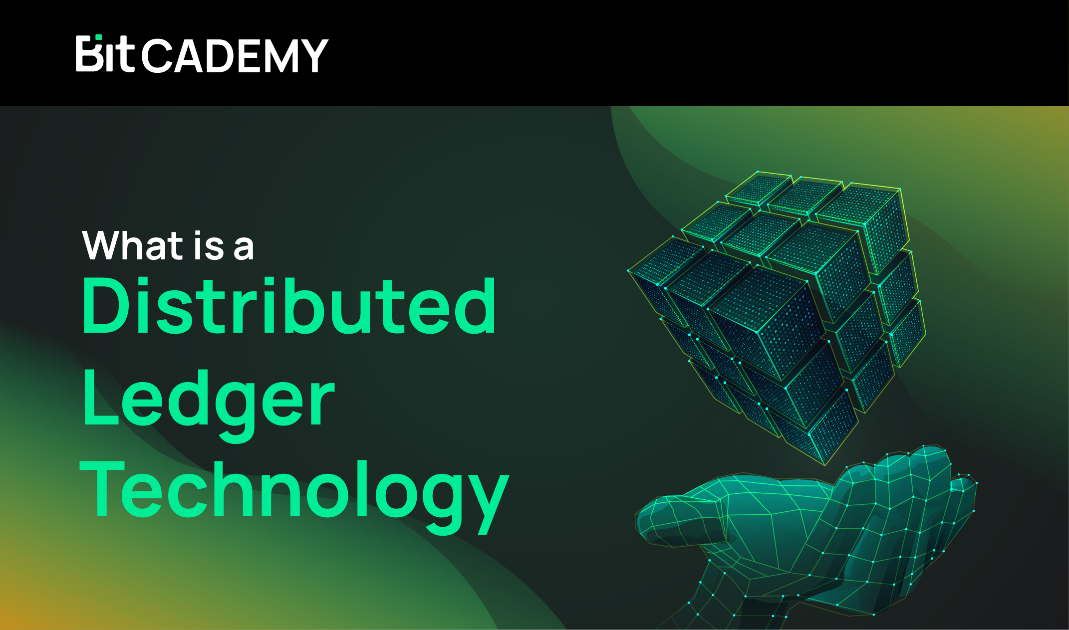 What is a Distributed Ledger Technology?