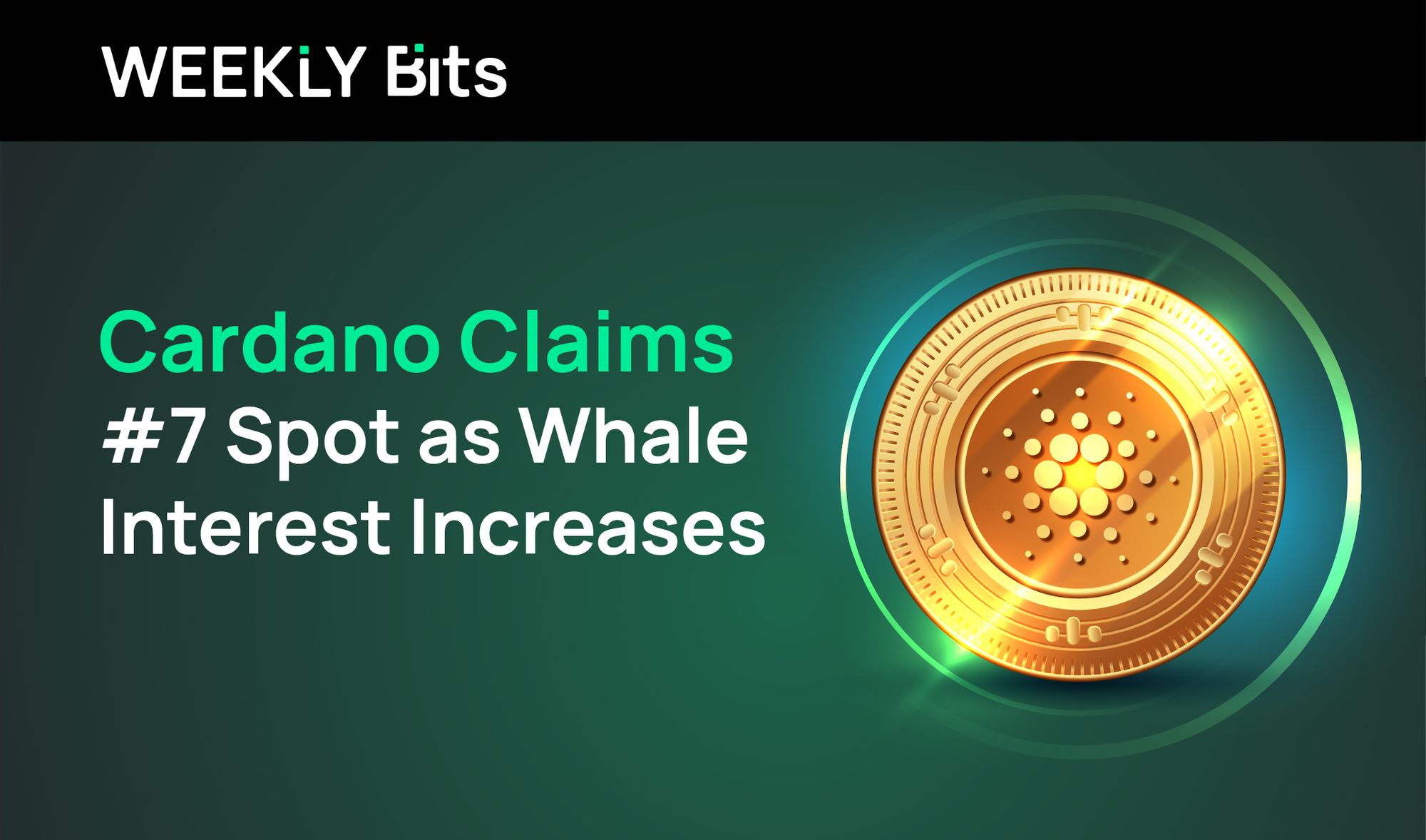 Cardano Claims #7 Spot As Whale Interest Increases