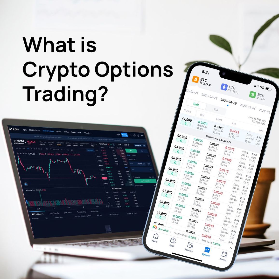 crypto option market